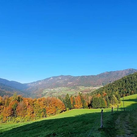 House Pucnk-Beautiful Countryside Villa Zelezniki Bagian luar foto