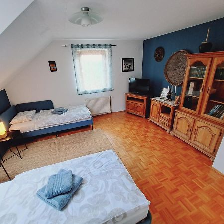 House Pucnk-Beautiful Countryside Villa Zelezniki Bagian luar foto