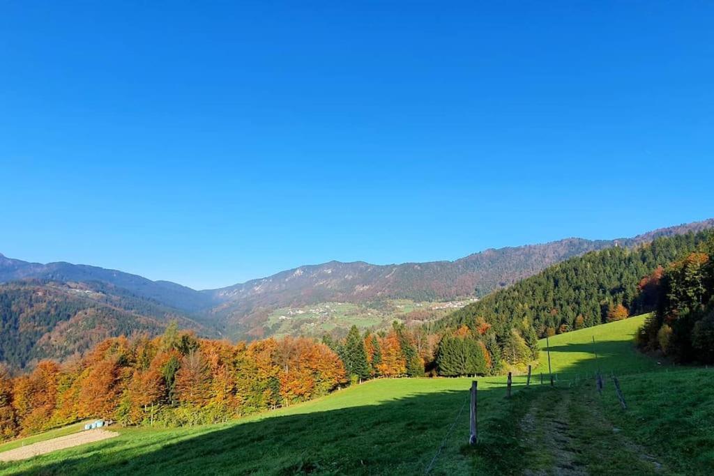 House Pucnk-Beautiful Countryside Villa Zelezniki Bagian luar foto