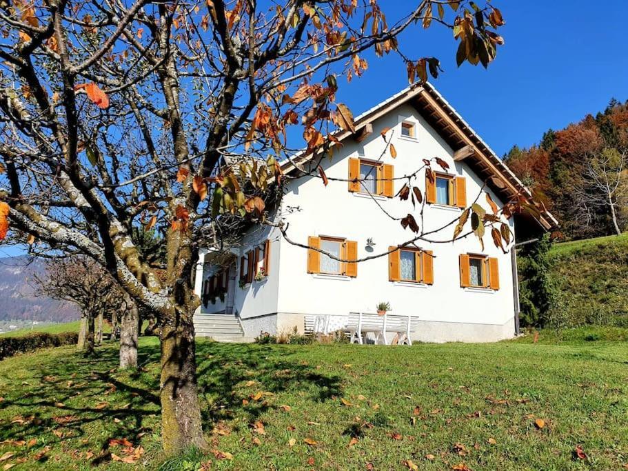 House Pucnk-Beautiful Countryside Villa Zelezniki Bagian luar foto