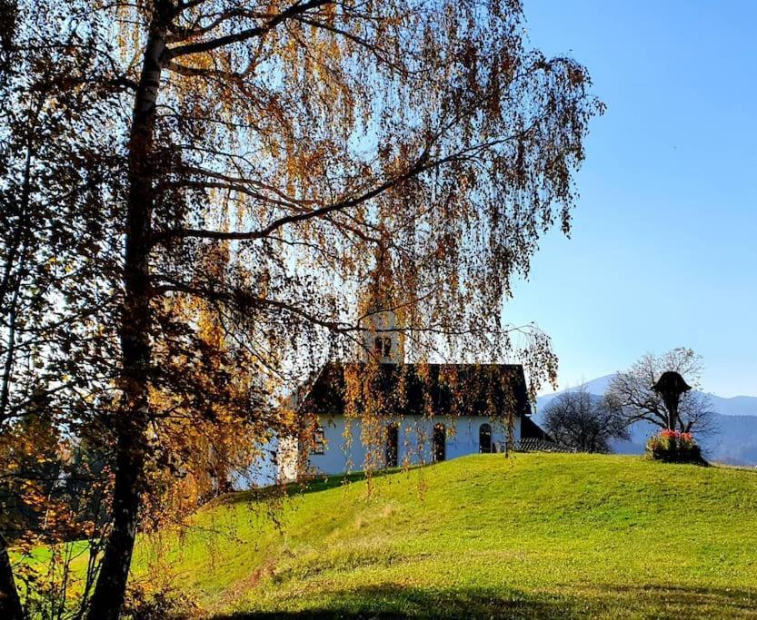 House Pucnk-Beautiful Countryside Villa Zelezniki Bagian luar foto