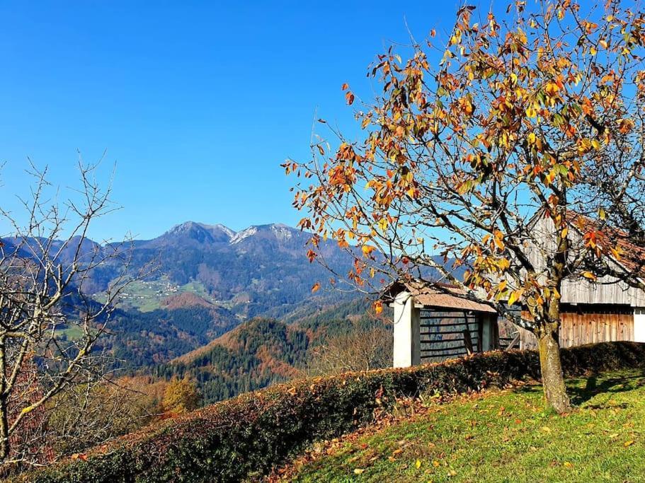 House Pucnk-Beautiful Countryside Villa Zelezniki Bagian luar foto